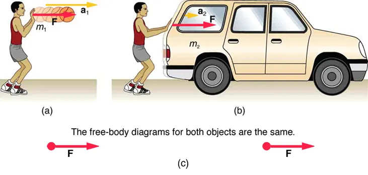 Three diagrams are shown: a, b, and c. Diagram a shows standing person facing to the right, pushing forward on a basketball. The basketball is labeled m one for mass one. A force vector is labeled F and is pointing to the right. An acceleration vector is labeled a one and is also pointing to the right. Diagram b shows the same person in the same standing position, pushing forward with the same force, but on a car. The car is labeled m two for mass two. A force vector is labeled F and is pointing to the right. An acceleration vector is labeled a two and is also pointing to the right. Diagram c shows free body diagrams for diagrams a and b, illustrating that the free body diagrams are identical because the forces acting on both masses were the same.