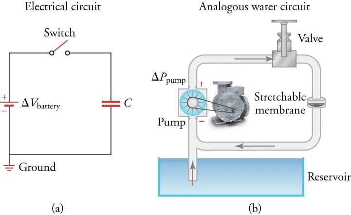 Part (a) is a circuit diagram with a battery, switch, and capacitor. Part (b) is an analogous water circuit with a pump (like a battery), a valve (like a switch), and a stretchable membrane (like a capacitor).