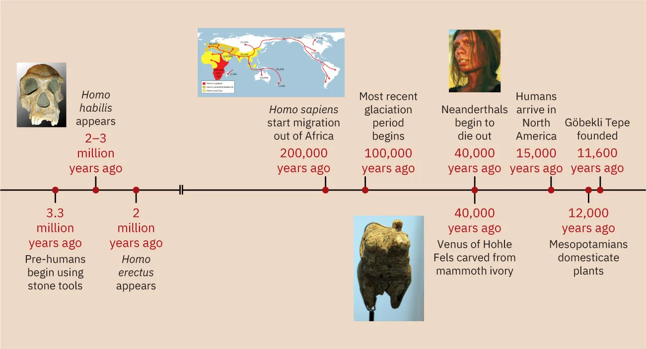A timeline showing events from this chapter is shown. 3.3 million years ago: Pre-humans begin using stone tools. 2-3 million years ago: Homo habilis appears; a picture of a skull with eye sockets, a nose opening and long teeth on the right and left side of the upper jaw is shown. 2 million years ago: Homo erectus appears. 200,000 years ago: Homo sapiens start migration out of Africa; a map of the world is shown with Africa highlighted red and yellow and red arrows pointing out of the red highlighted region in Africa travelling all over the world. 100,000 years ago: Most recent glaciation period begins. 40,000 years ago: Neanderthals begin to die out; a picture of a brown skinned person is shown with messy long hair, deep, large eyes, and large teeth on a yellow background. 40,000 years ago: Venus of Hohle Fels carved from mammoth ivory; a carving with bumps at the top and two short legs coming off of the bottom is shown. 15,000 years ago: Humans arrive in North America. 12,000 years ago: Mesopotamians domesticate plants. 11,600 years ago: Göbekli Tepe founded.