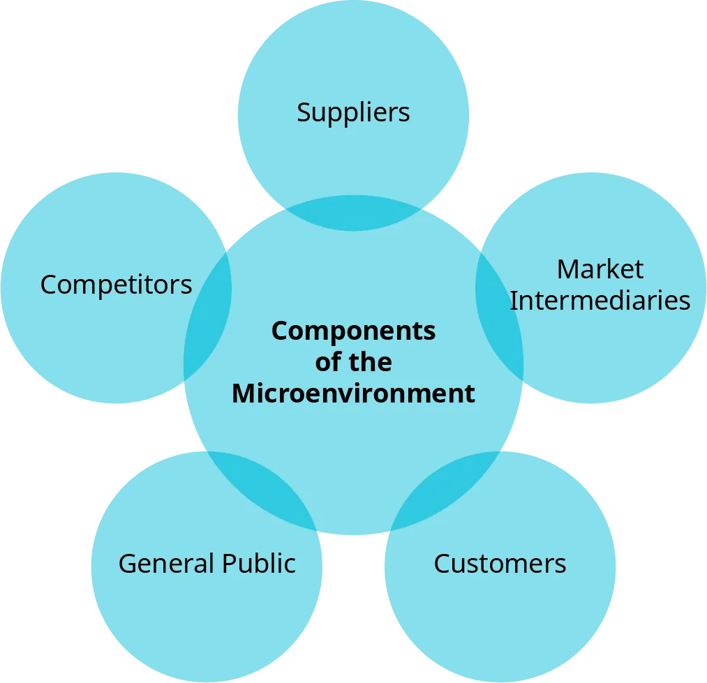 Components of the microenvironment include suppliers, market intermediaries, customers, general public, and competitors.