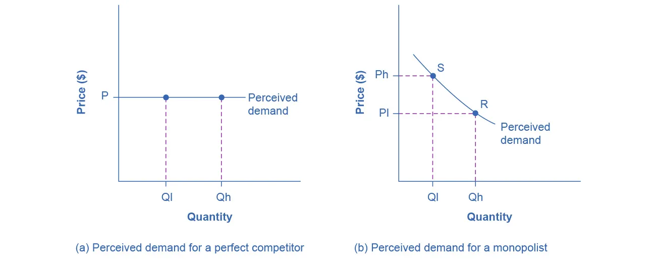 The left graph shows perceived demand for a perfect competitor as a straight, horizontal line. The right graph shows perceived demand for a monopolist as a downward-sloping curve.