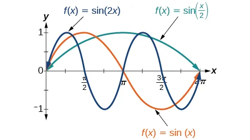 A graph with three items. The x-axis ranges from 0 to 2pi. The y-axis ranges from -1 to 1. The first item is the graph of sin(x) for one full period. The second is the graph of sin(2x) over two periods. The third is the graph of sin(x/2) for one half of a period.