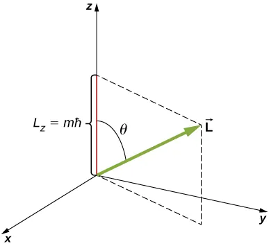 Se muestra un sistema de coordenadas x y z. El vector L forma un ángulo theta con el eje de la z positiva y tiene un componente z positivo L sub z igual a m por h barra. Los componentes x e y son positivos pero no se especifican.