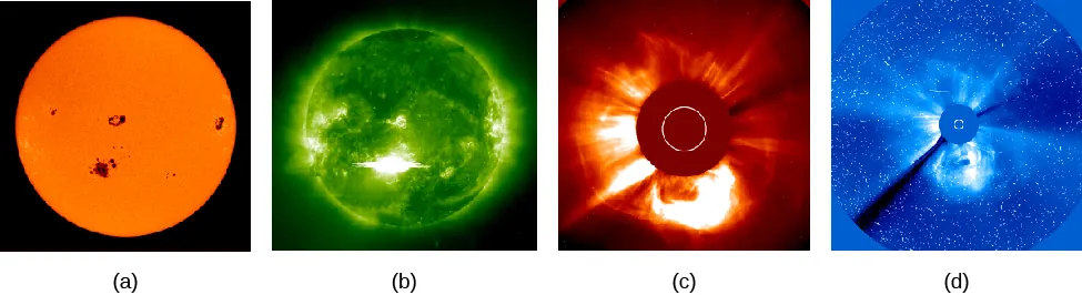 A figure of a flare and a coronal mass ejection, shown in a series of four images. On the left is a view of the sun with a few dark sunspots. Next is a view of the sun in UV light, with a bright flare at the same location of the sunspots in the leftmost image. Next is an image of a coronal mass ejection shooting out from the same location. Finally the coronal mass ejection is imaged through a filter to show the emission from the corona.