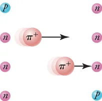 This figure shows a sequence of four images in four rows. In the first row, a proton and a neutron are pictured. The proton is on the left and the neutron is on the right. In the second row, a pion leaves the proton and travels toward the neutron, as represented by an arrow. As a result, the proton is now a neutron. In the third row, the pion is still traveling toward the neutron on the right. This image consists of the pion and two neutrons. In the fourth row, a proton is on the right with a neutron on the left. This shows that the pion has been absorbed by the right-side neutron, which has turned into a proton as a result.