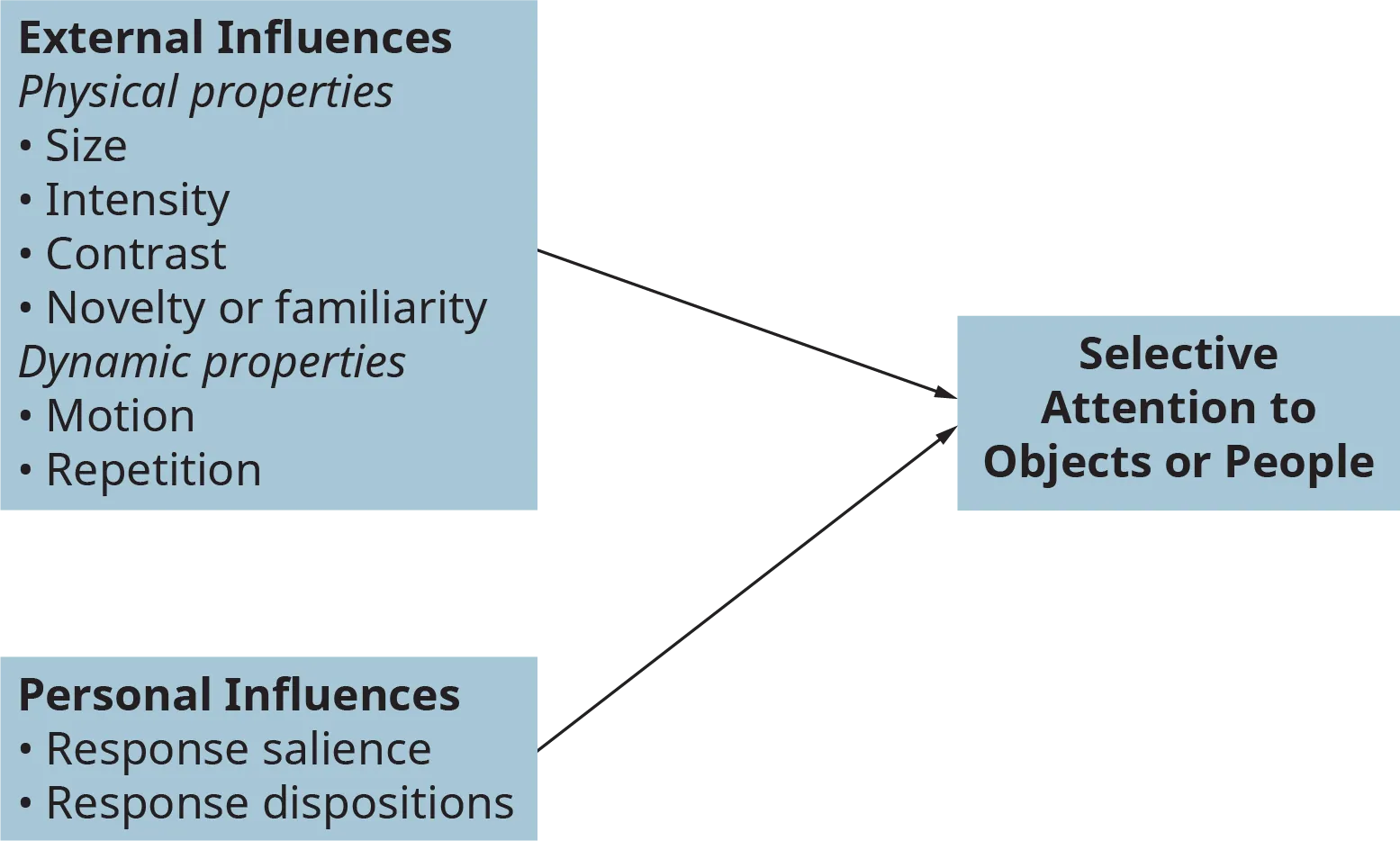 An illustration shows the major influences on selective attention.