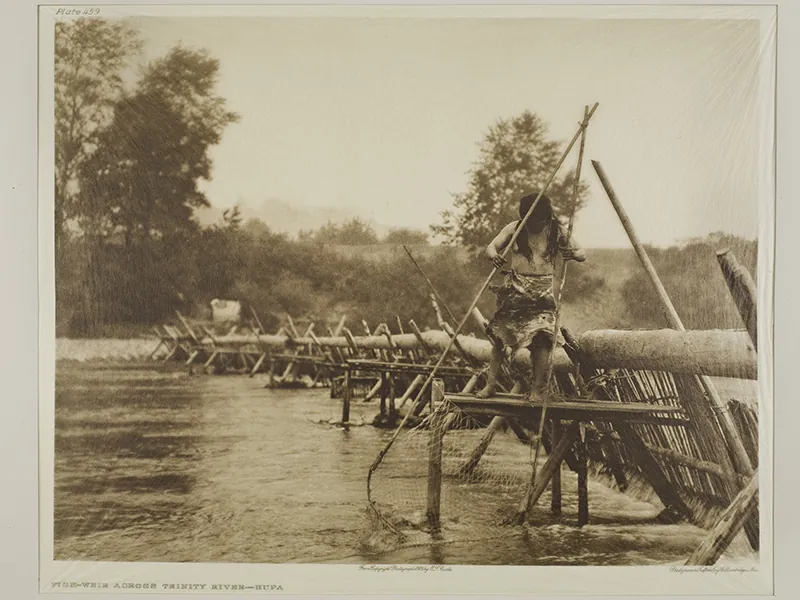 A man stands on a small wooden platform next to a dam constructed of logs and sticks. He holds two very long poles with a net stretched between them.