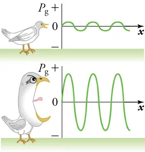 This figure has two panels. In the upper panel, a bird chirping at low volume produces sound waves with small amplitudes. In the lower panel, a bird chirping at high volume produces sound waves with large amplitudes.