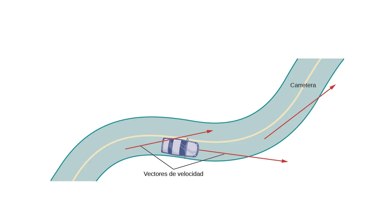 Esta figura representa una carretera con curvas. En la carretera hay un automóvil. En él hay dos vectores. El primer vector es tangente a la parte trasera del automóvil. El segundo vector sale de la parte delantera en la dirección a la que este se dirige. Ambos vectores están marcados "vectores de velocidad".