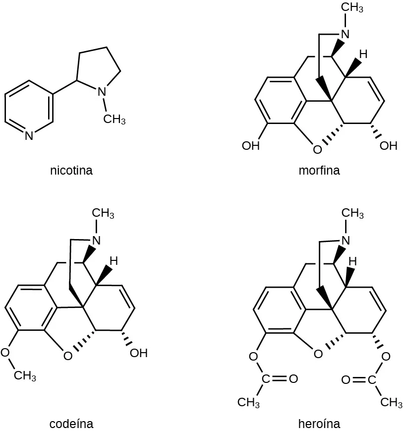 Se muestran las estructuras moleculares de la nicotina, la morfina, la codeína y la heroína. Estas grandes estructuras comparten algunas características comunes, como los anillos. En las estructuras complejas de la morfina, la codeína y la heroína, los enlaces con algunos átomos de O en las estructuras se indican con cuñas discontinuas y los enlaces con algunos átomos de H y de N se muestran como cuñas sólidas.