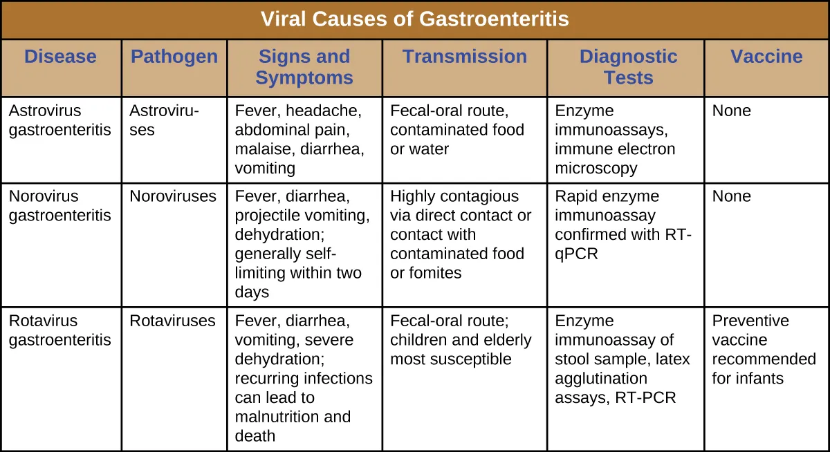 Table titled: Viral Causes of Gastroenteritis. Disease, Pathogen, Signs and Symptoms, Transmission, Diagnostic Tests, Vaccine. Astrovirus gastroenteritis Astroviruses; Fever, headache, abdominal pain, malaise, diarrhea, vomiting; Fecal-oral route, contaminated food or water Enzyme immunoassays, immune electron microscopy; None. Norovirus gastroenteritis; Noroviruses; Fever, diarrhea, projectile vomiting, dehydration; generally self-limiting within two days; Highly contagious via direct contact or contact with contaminated food or fomites Rapid enzyme immunoassay confirmed with RT-qPCR; None. Rotavirus gastroenteritis; Rotaviruses; Fever, diarrhea, vomiting, severe dehydration; recurring infections can lead to malnutrition and death Fecal-oral route; children and elderly most susceptible; Enzyme immunoassay of stool sample, latex agglutination assays, RT-PCR; Preventive vaccine recommended for infants.