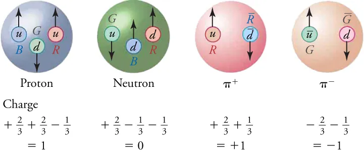 There are four pictures in this figure, each showing the structure of a hadron. The proton on the left is composed of three quarks (two up and one down). The colors of the quarks are blue, green, and red. The second picture is of a neutron, which is composed of three quarks (one up and two down). The colors of its quarks are green, blue, and red. The third image is of a positive pion, which is composed of two quarks (up and anti-down). The colors of its quarks are red and anti-red. The final picture is of a negative pion, which is composed of two quarks (anti-up and down). The colors of its quarks are green and anti-green. Underneath each quark is a summation of the quarks fractional charge. The summation of quark charges for both the proton and positive pion is +1. The summation of quark charges for the neutron is zero. The summation of quark charges for the negative pion is -1.