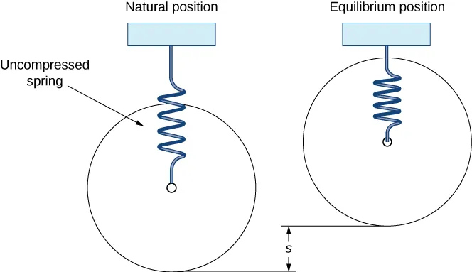 This figure has two springs attached above at a fixed point. The first spring is labeled, “Natural Position,” and has an uncompressed spring hanging vertically. The second spring is labeled, “Equilibrium Position,” and has a compressed spring hanging vertically. The vertical difference between the two springs is labeled, “s.”