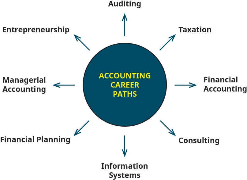 A hub labeled “Accounting Career Paths” with eight arrows pointing out of it to the following career paths: Auditing, Taxation, Financial Accounting, Consulting, Information Systems, Financial Planning, Managerial Accounting, Entrepreneurship.