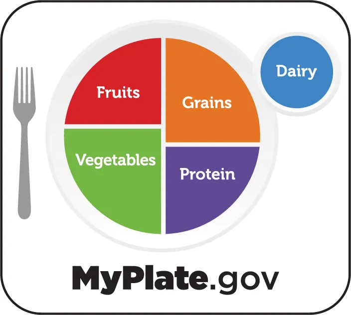 An image shows a place setting with a plate, fork, and cup. The plate is divided into four sections: Fruits, Grains, Vegetables, and Protein. The cup is labeled Dairy.