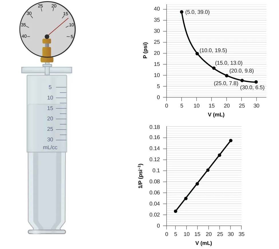 This figure contains a diagram and two graphs. The diagram shows a syringe labeled with a scale in m l or c c with multiples of 5 labeled beginning at 5 and ending at 30. The markings halfway between these measurements are also provided. Attached at the top of the syringe is a pressure gauge with a scale marked by fives from 40 on the left to 5 on the right. The gauge needle rests between 10 and 15, slightly closer to 15. The syringe plunger position indicates a volume measurement about halfway between 10 and 15 m l or c c. The first graph is labeled “V ( m L )” on the horizontal axis and “P ( p s i )” on the vertical axis. Points are labeled at 5, 10, 15, 20, and 25 m L with corresponding values of 39.0, 19.5, 13.0, 9.8, and 6.5 p s i. The points are connected with a smooth curve that is declining at a decreasing rate of change. The second graph is labeled “V ( m L )” on the horizontal axis and “1 divided by P ( p s i )” on the vertical axis. The horizontal axis is labeled at multiples of 5, beginning at zero and extending up to 35 m L. The vertical axis is labeled by multiples of 0.02, beginning at 0 and extending up to 0.18. Six points indicated by black dots on this graph are connected with a black line segment showing a positive linear trend.