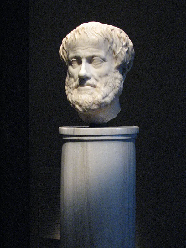 A marble bust of bearded face with stringy hair and a pronounced nose, displayed on a pedestal.