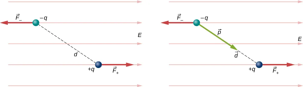 Na rysunku pokazany jest dipol umieszczony w jednorodnym polu elektrycznym razem z siłami działającymi na ładunki tworzące dipol. Dipol składa się z ładunku minus q i dodatniego ładunku plus q, rozsuniętych na odległość d. Linia łącząca ładunki tworzy pewien kąt z poziomem, tak że ładunek ujemny znajduje się u góry po lewej stronie względem ładunku dodatniego. Pole elektryczne E jest zwrócone poziomo w stronę prawą. Siła działająca na ładunek ujemny jest zwrócona w lewo i oznaczona jako F minus. Siła działająca na ładunek dodatni jest zwrócona w prawo i oznaczona jako F plus. Na rysunku b pokazany jest ten sam układ z dodatkowo zaznaczonym wektorem momentu dipolowego p, który jest zwrócony wzdłuż linii łączącej ładunki, od ujemnego do dodatniego ładunku.