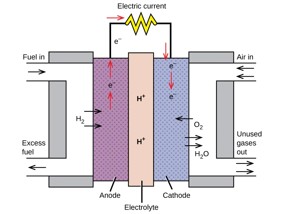 A diagram is shown of a hydrogen fuel cell. At the center is a vertical rectangle which is shaded dark gray and labeled “Electrolyte.” This region has two labels for H superscript plus in it. To the right and left are narrow vertical rectangles shaded light gray. The one to the right is labeled “Cathode” and the one to the left is labeled “Anode.” To the left of the left-most light gray region is a white region shaped like a closed left bracket. A yellow arrow points in to the white region with the label to show “Fuel In.” In the middle of the white area are two yellow arrows pointing toward the gray shading labeled “H subscript 2.” At the bottom of the white region is a yellow arrow pointing out that is labeled “Excess Fuel.” On the right side is another white region that makes a right closed bracket shape. There are two arrows with the label “Air In” and “H subscript 2 O” in the upper left side of this area pointing in. One arrow is light blue and one is dark blue. In the middle to the white area is a light blue arrow pointing toward the gray shading. The arrow is labeled “O subscript 2.” Below that are two dark blue arrows pointing out from the gray shading to the white area labeled “H subscript 2 O.” At the bottom of the white region are the light blue arrow for O subscript 2 and the dark blue arrow for H subscript 2 O pointing out. This is labeled “Unused Gases Out.” Black line segments extend upward from the light gray shaded regions. These line segments are connected by a horizontal segment that has a curly shape in a circle at the center. This shape is labeled “Electric Current.” In the left light gray shaded region above the yellow arrows is a red arrow pointing up, the label e superscript minus above it, and then another red arrow. The black line segment above this area also has the label e superscript minus. Where the line turns right to connect to the Electric Current shape is a right-facing red arrow. On the other side of the shape where the line turns downward to connect to the other light gray shaded region is a red downward-facing arrow. Below that arrow in the light gray region is the label e superscript minus, followed by a red down arrow, followed by another e superscript minus label that stops before the light blue arrow pointing in to the shaded area.