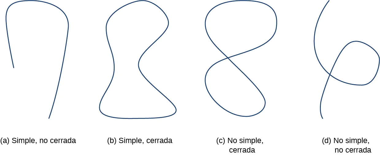 Una imagen que muestra ocho curvas y sus tipos. La primera curva no es simple ni cerrada; tiene dos puntos finales y se cruza dos veces. La segunda curva es simple pero no cerrada; no se cruza a sí misma y tiene dos puntos finales. La tercera curva es cerrada pero no es simple; se cruza varias veces. La cuarta es una curva cerrada simple; no se cruza a sí misma y no tiene puntos finales. La quinta es una curva simple, no cerrada; no se cruza a sí misma, pero tiene puntos finales. La sexta es una curva simple y cerrada; no se cruza a sí misma y no tiene puntos finales. La séptima es cerrada pero no simple; se cruza a sí misma pero no tiene puntos finales. La última no es simple ni cerrada; se cruza y tiene puntos finales.