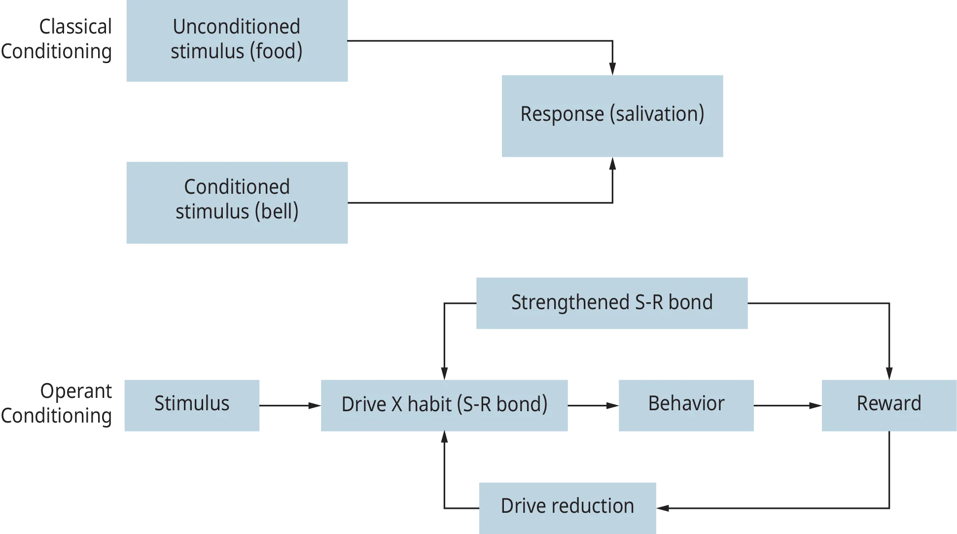 A set of two flowcharts are shown to depict the functioning of “Classical Conditioning” and “Operant Conditioning.”