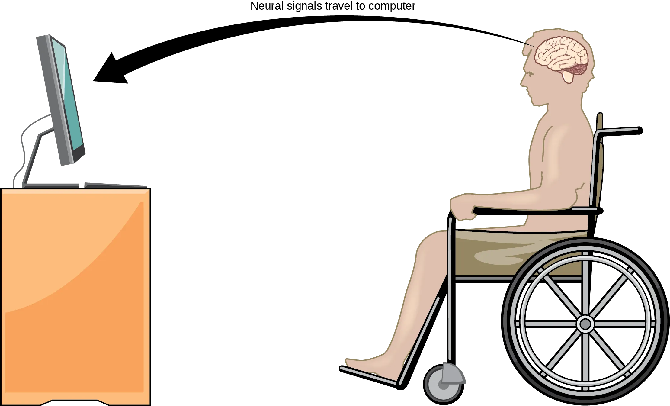 Illustration shows a person in a wheelchair, facing a computer screen. An arrow indicates that neural signals travel from the brain of the paralyzed person to the computer.