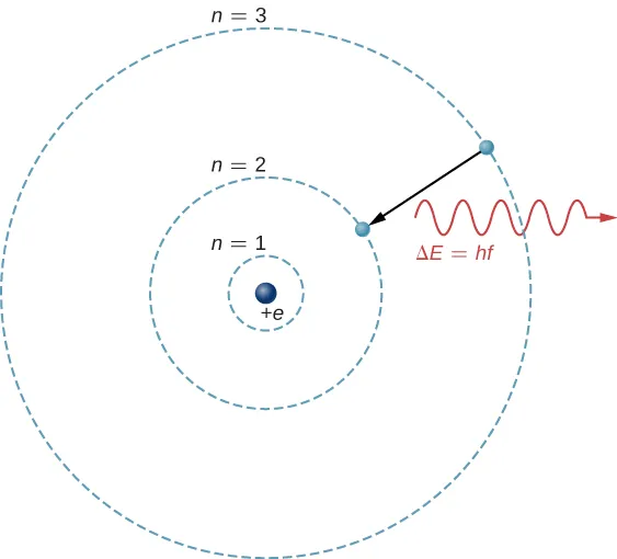 El átomo de hidrógeno se representa como un protón en el núcleo, una carga más e, y un electrón en una órbita circular alrededor del núcleo. Se muestran tres órbitas, marcadas como n =1, n = 2 y n = 3 en orden de radio creciente. Una flecha indica la transición de un electrón de la órbita exterior hacia la órbita central, y una onda etiquetada como delta E igual a h f se muestra cerca de la transición, abandonando al átomo.