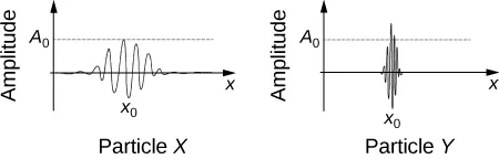 The figure shows two graphs representing two particles (Particle X and Particle Y). The vertical y-axis is labeled Amplitude with a point A subzero indicated near the top of the displayed axis. The horizontal x-axis is labeled x with a point labeled x subzero. There is a wave on each graph centered at x subzero. Both waves start with from the left with a small amplitude. The wave for particle X is spread out in the x-direction and increases in amplitude until A subzero is reached and then gradually tapers off in a mirror image of the beginning portion of the wave. Particle Y’s graph shows a wave that is much less wide in the x-direction that quickly builds past the A subzero amplitude and then quickly decreases.
