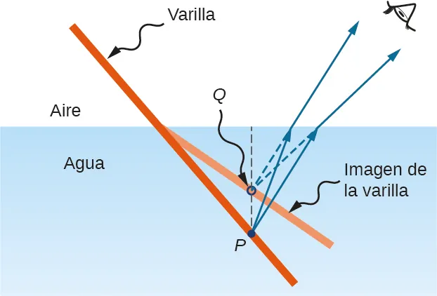 La figura muestra la vista lateral de una varilla sumergida en agua. La imagen de una varilla marcada con una línea más clara se muestra de tal manera que parece que la varilla está doblada en la unión del aire y el agua. El punto P está en la varilla y el punto Q está en la imagen de la varilla. Se muestra una línea de puntos PQ perpendicular a la superficie del agua. Dos rayos se originan en P, viajan hacia arriba hasta la superficie del agua, se doblan en ángulo y llegan al ojo del observador. Las extensiones posteriores de los rayos doblados parecen originarse en el punto Q.