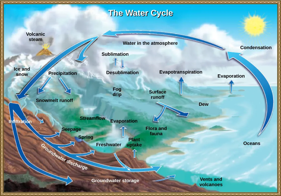  Illustration shows the water cycle. Water enters the atmosphere through evaporation, evapotranspiration, sublimation, and volcanic steam. Condensation in the atmosphere turns water vapor into clouds. Water from the atmosphere returns to the earth via precipitation or desublimation. Some of this water infiltrates the ground to become groundwater. Seepage, freshwater springs, and plant uptake return some of this water to the surface. The remaining water seeps into the oceans. The remaining surface water enters streams and freshwater lakes, where it eventually enters the ocean via surface runoff. Some water also enters the ocean via underwater vents or volcanoes.