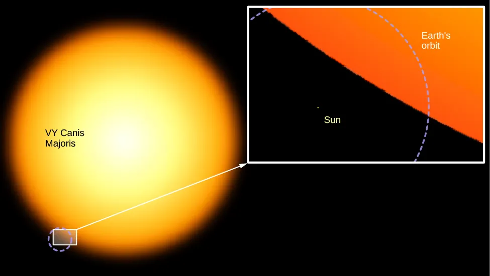 Illustration of the Sun and a Supergiant Star. At left, the supergiant star VY Canis Majoris is shown as a large yellow sphere. At the bottom left edge of the supergiant a small rectangle is drawn. This area is enlarged in the inset at right. The Sun is shown as a tiny dot surrounded by a dashed circle representing Earth’s orbit. The surface of the supergiant is drawn running diagonally across the upper right half of the enlargement. The Sun and the orbit of Earth would fit inside VY Canis Majoris many times over.
