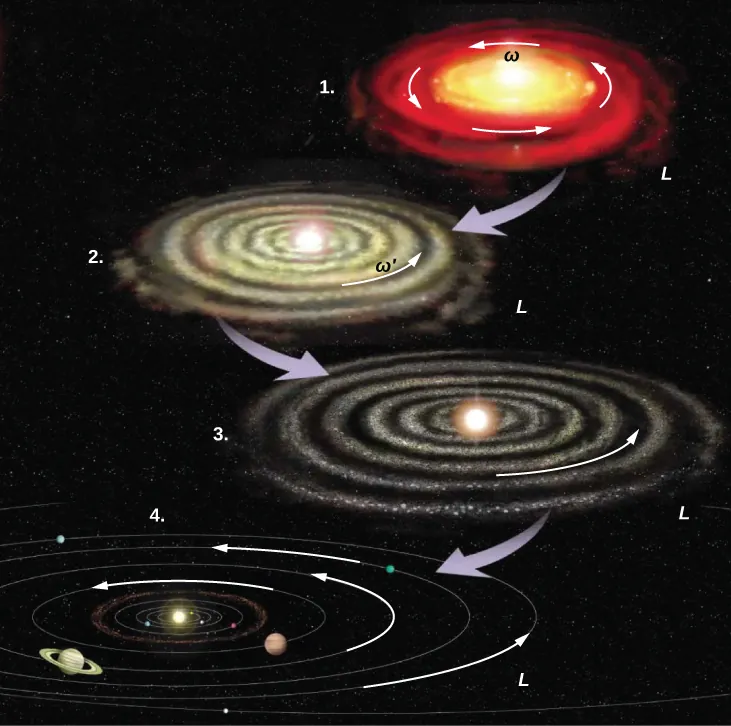 An illustration of the formation of the solar system from a cloud of gas and dust. At first, the gas cloud is rotating with angular velocity omega and has angular momentum L. It forms a fairly continuous disc in the plane of rotation. Later, the disc is rotating with angular velocity omega prime but still has angular momentum L. The disc starts to break up into concentric rings. The gaps between the rings grow. Eventually, the gas in the rings forms a star in the center and planets whose orbits trace the rings from which they came. In all cases, the angular velocity is in the same direction as that of the original gas cloud and the angular momentum is L.