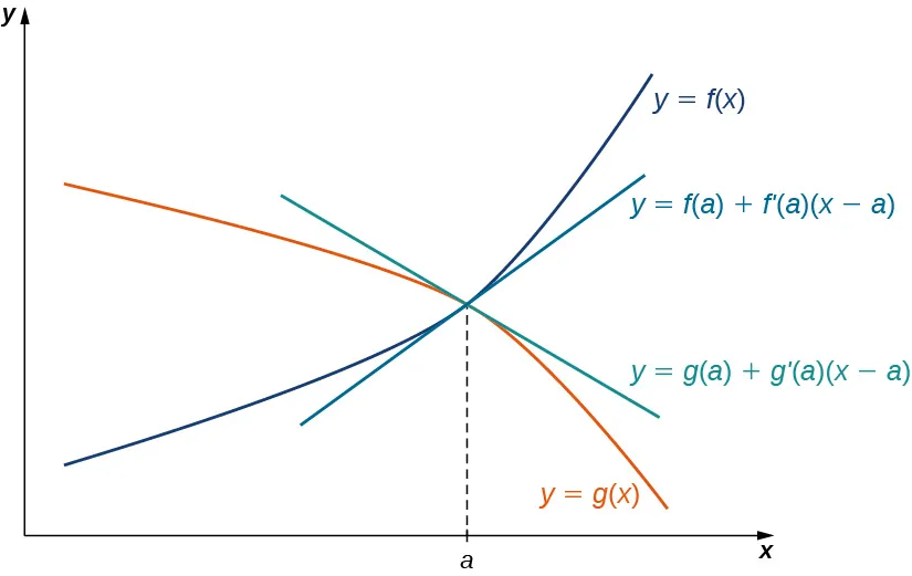 Dos funciones y = f(x) y y = g(x) se dibujan de forma que se cruzan en un punto sobre x = a. También se dibujan las aproximaciones lineales de estas dos funciones y = f(a) + f'(a)(x - a) y y = g(a) + g'(a)(x - a).