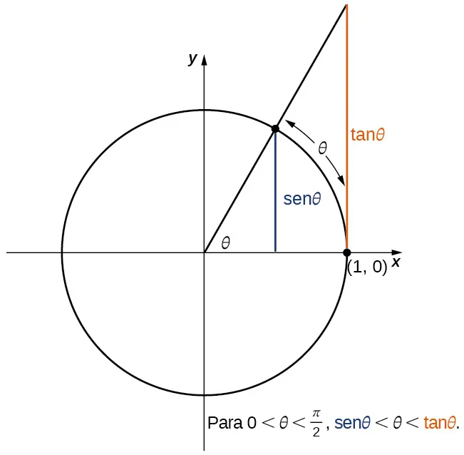 El mismo diagrama que el anterior. Sin embargo, el triángulo se amplía. Ahora la base es desde el origen hasta (1,0). La altura va de (1,0) a (1, tan(theta)). La hipotenusa va desde el origen hasta (1, tan(theta)). Así, la altura es ahora tan(theta). Muestra que para 0 < theta < pi/2, sen(theta) < theta < tan(theta).
