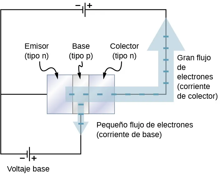 Se muestran tres bloques en contacto. De izquierda a derecha están marcados: emisor (tipo n) base (tipo p) y colector (tipo n). Una fuente de voltaje se conecta a través del colector y el emisor, siendo el colector positivo. Otra fuente de voltaje se conecta a través del emisor y la base, siendo la base positiva. Una flecha gruesa parte del emisor, pasa por los otros dos bloques, sale del colector y recorre el primer bucle de voltaje. La flecha está marcada como flujo grande de electrones, corriente de colector. Una flecha más fina desde la base se dirige al segundo bucle de voltaje. Está marcada como flujo pequeño de electrones, corriente de base.