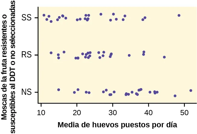 Este gráfico es un diagrama de dispersión que representa los datos proporcionados. El eje horizontal está identificado como “media de huevos puestos por día” y va de 10 a 50. El eje vertical está identificado como “moscas de la fruta resistentes o susceptibles al DDT, o no seleccionadas”. El eje vertical está identificado con las categorías NS, RS, SS.
