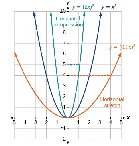 Graph of the vertical stretch and compression of x^2.