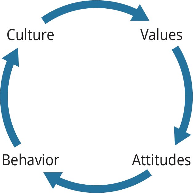 A circular diagram illustrates the relationship between “culture,” “values,” “attitudes,” and “behavior” moving in the clockwise direction.