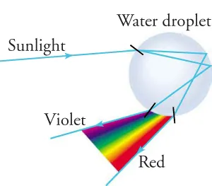 A water droplet is depicted in this figure. A ray of sunlight, denoted by an arrow, hits drop of water and disperses at its point of entry, denoted by the arrow splitting in two. These two rays are then reflected off the back of the droplet at two different angles and are dispersed again as they leave the droplet, creating a rainbow.