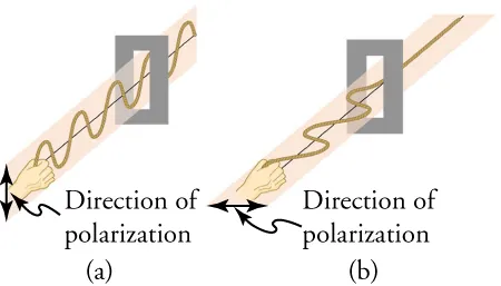 This figure has two panels arranged side by side. The left panel, labeled “(a)”, shows a hand holding one end of a wave moving in a vertical plane and passing through a vertically oriented slit. Next to the hand is a double-headed vertical arrow labeled “Direction of polarization”. The right panel, labeled “(b)”, shows a hand holding one end of a wave moving in a horizontal plane and passing through a horizontally oriented slit. Next to the hand is a double-headed horizontal arrow labeled “Direction of polarization.