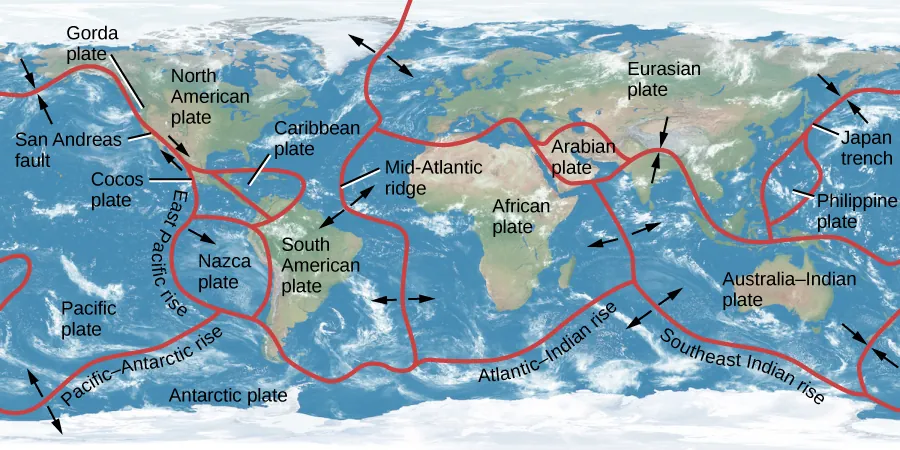 Diagram of Earth’s Continental Plates. The outlines of the various plates are drawn in red. The plate names are given in black. Subduction zones are shown as converging arrows, and rift zones are shown as diverging arrows. At far-left is the Pacific plate, with the San Andreas fault and East Pacific Rise labeled. Next, straddling the equator are the Cocos, Caribbean, and Nazca plates. North and to the east of these are the North and South American plates. Adjacent to the North American plate is the Eurasian plate, and next to the South American plate is the African Plate. The Mid-Atlantic ridge (rift zone) is the boundary of the American plates and the African and Eurasian plates. Between Eurasia and Africa is the Arabian plate. Below the eastern part of the Eurasian plate is the Australia-Indian plate (subduction zone). The African plate and the Australia-Indian plate are bounded by a rift zone. At far-right between the western Pacific plate and the eastern Eurasian plate is the Phillipine plate. Dominating the bottom of the illustration is the Antarctic plate, with the Pacific-Antarctic rise (rift zone), Atlantic-Indian rise, and the Southeast Indian Rise (rift zone) indicated.