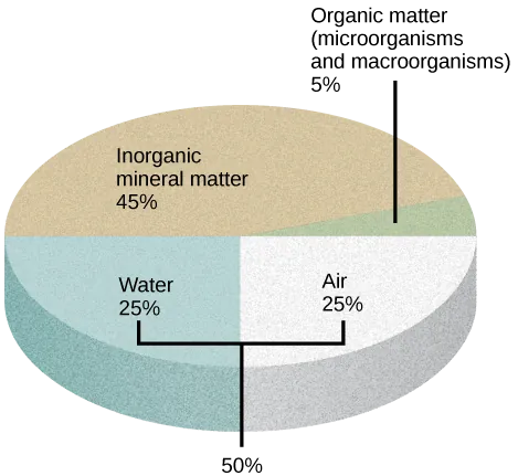  Illustration shows a pie graph that outlines the composition of soil. Forty-five percent is inorganic mineral matter, 25 percent is water, 25 percent is air, and 5 percent is organic matter, including microorganisms and macroorganisms.
