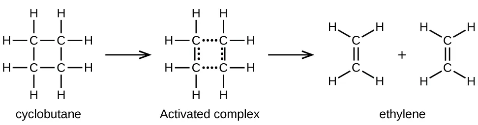 In this figure, structural formulas are used to illustrate a chemical reaction, including an intermediate step. On the left, a structural formula for cyclobutane is shown. This structure is composed of 4 C atoms connected with single bonds in a square shape. Each C atom is bonded to two other C atoms in the structure, leaving two bonds for H atoms pointing outward above, below, left, and right. This structure is labeled, “Cyclohexane.” An arrow points right to a similar structure which has the upper and lower bonds replaced by rows of 4 dots. Similarly, columns of 3 dots appear just inside the line segments indicating the vertically oriented single bonds in the structure. The label “Activated complex” appears beneath this structure. A second arrow points right to two identical ethane molecules with a plus symbol between them. Each of these molecules contains two C atoms connected with a double bond oriented vertically between them. The C atom at the top of these molecules has H atoms bonded above to the right and left. Similarly, the lower C atom has two H atoms bonded below to the right and left. Below these two molecules appears the label “Ethylene.”