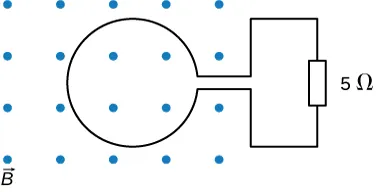 Rysunek przedstawia schemat elektryczny kołowej, przewodzącej pętli, do której końców podłączony jest rezystor o wartości 5 omów. Pętla, umieszczona na płaszczyźnie rysunku – znajduje się w całości w prostokątnym obszarze, w którym istnieje jednorodne pole magnetyczne o indukcji B – prostopadłe do płaszczyzny tegoż rysunku. Pole to zwrócone jest od płaszczyzny rysunku. Rezystor wraz z przewodami, łączącymi go z pętlą – znajduje się poza obszarem pola.