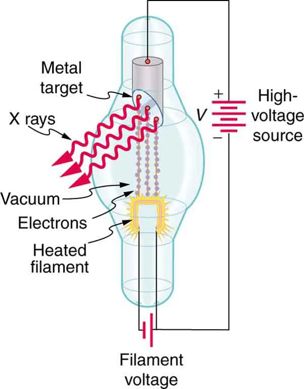 A cathode ray tube connected to a high-voltage source is shown in the figure. The image shows electrons coming out of the heated filament at one end of the vacuum tube as tiny balls, and hitting the metal plate at the opposite end of the vacuum tube. X rays are shown coming out from the metal plate in the form of waves.