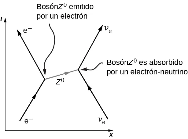 La figura es un gráfico de t en función de x. Una flecha marcada como menos va hacia arriba y hacia la derecha y se encuentra con la base de otra flecha marcada como menos que va hacia arriba y hacia la izquierda. La unión está marcada como bosón z0 emitido por un electrón. A la derecha de esa imagen hay una flecha que va hacia arriba y hacia la izquierda. La punta se encuentra con la base de otra flecha que va hacia arriba y hacia la derecha. Ambas están marcadas v subíndice e y la unión está marcada como bosón z0 absorbido por un neutrino electrónico. Las dos uniones en el gráfico están conectadas por un rayo marcado como z0. Esta apunta a la derecha y ligeramente hacia arriba.