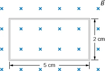 Rysunek przedstawia prostokątną ramkę o wymiarach 5 na 2 centymetry, umieszczoną w jednorodnym polu magnetycznym o indukcji B. Pole jest prostopadłe do powierzchni ramki i zwrócone do płaszczyzny rysunku. Dłuższy bok ramki jest poziomy.