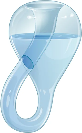 Rysunek pokazuje butelkę, która wygląda jak obrócona do góry nogami kolba, której szyja jest wydłużona, wygięta ku górze, skręcona, wciągnięta do wnętrza i połączona z jej podstawą, mającą tym samym tylko jedną powierzchnię.
