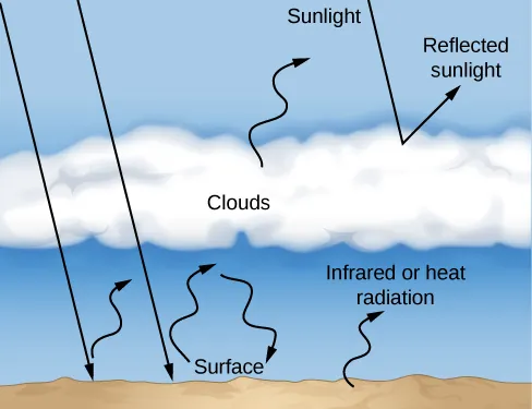 Illustration of the Greenhouse Effect. This diagram shows the Earth’s surface labeled at the bottom. A cloud layer is drawn spanning the width of the figure. Sunlight is represented as straight black arrows coming down from the top left. Two arrows on the far-left travel through the clouds to strike the surface. Where they strike the surface, wavy arrows are drawn moving upward away from the surface. The wavy arrows indicate infrared or heat radiation. The heat from one of the Sun’s rays goes up through the cloud layer and into space. The heat from the other ray is reflected from the bottom of the clouds and back toward the surface, heating the atmosphere. A third arrow of Sunlight strikes the top of the cloud layer and is reflected back into space.