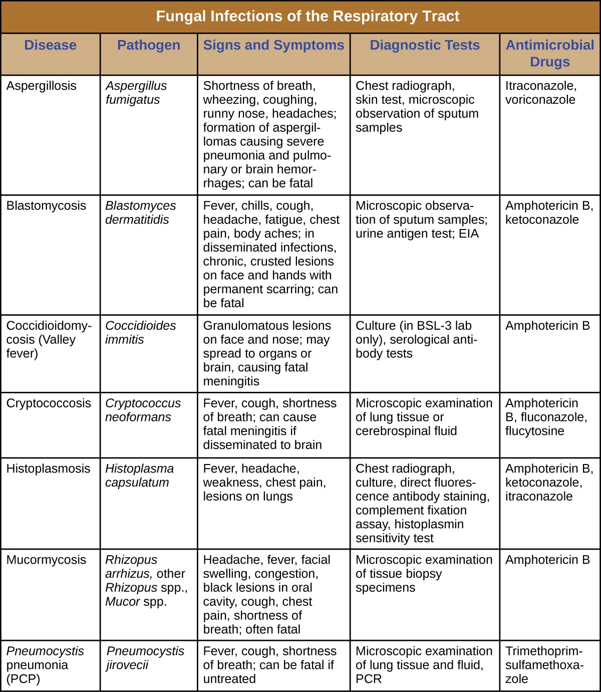 Table titled: Fungal Infections of the Respiratory Tract. Columns: Disease, Pathogen, Signs and Symptoms, Diagnostic Tests, Antimicrobial Drugs. Aspergillosis; Aspergillus fumigatus; Shortness of breath, wheezing, coughing, runny nose, headaches; formation of aspergillomas causing severe pneumonia and pulmonary or brain hemorrhages; can be fatal; Chest radiograph, skin test, microscopic observation of sputum samples; Itraconazole, voriconazole. Blastomycosis; Blastomyces dermatitidis; Fever, chills, cough, headache, fatigue, chest pain, body aches; in disseminated infections, chronic, crusted lesions on face and hands with permanent scarring; can be fatal; Microscopic observation of sputum samples; urine antigen test; EIA; Amphotericin B, ketoconazole; Coccidioidomycosis (Valley fever); Coccidioides immitis; Granulomatous lesions on face and nose; may spread to organs or brain, causing fatal meningitis; Culture (in BSL-3 lab only), serological antibody tests; Amphotericin B. Cryptococcosis; Cryptococcus neoformans; Fever, cough, shortness of breath; can cause fatal meningitis if disseminated to brain; Microscopic examination of lung tissue or cerebrospinal fluid; Amphotericin B, fluconazole, flucytosine. Histoplasmosis; Histoplasma capsulatum; Fever, headache, weakness, chest pain, lesions on lungs; Chest radiograph, culture, direct fluorescence antibody staining, complement fixation assay, histoplasmin sensitivity test Amphotericin B, ketoconazole, itraconazole. Mucormycosis; Rhizopus arrhizus, other Rhizopus spp., Mucor spp.; Headache, fever, facial swelling, congestion, black lesions in oral cavity, cough, chest pain, shortness of breath; often fatal; Microscopic examination of tissue biopsy specimens; Amphotericin B. Pneumocystis pneumonia (PCP); Pneumocystis jirovecii Fever, cough, shortness of breath; can be fatal if untreated Microscopic examination of lung tissue and fluid, PCR; Trimethoprim-sulfamethoxazole.